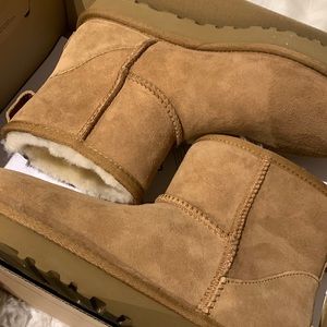 BRAND NEW UGGS